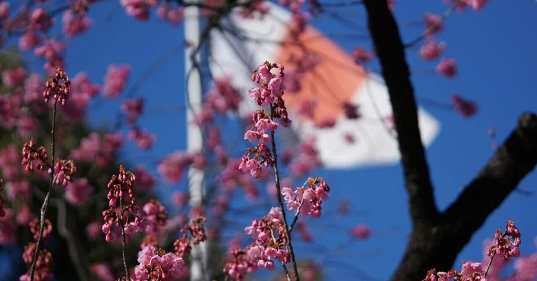 Bcp Policy Example I often think, 'Please speak in Japanese, not in loanwords!'|リカエリカ