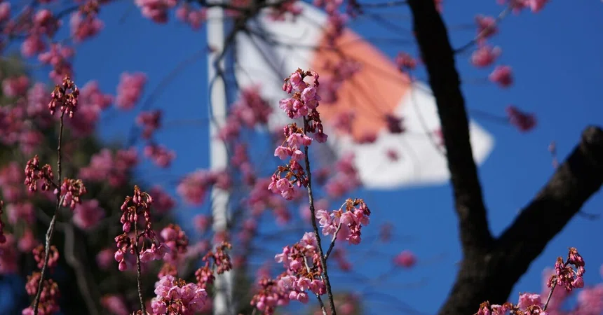Bcp Policy Example I often think, 'Please speak in Japanese, not in loanwords!'|リカエリカ