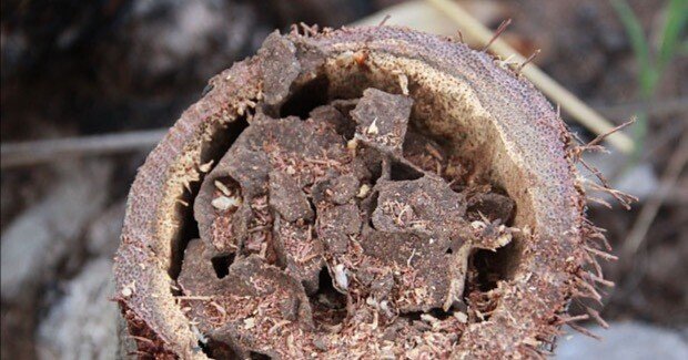 424f3faf25fda590e30175a6dd2686