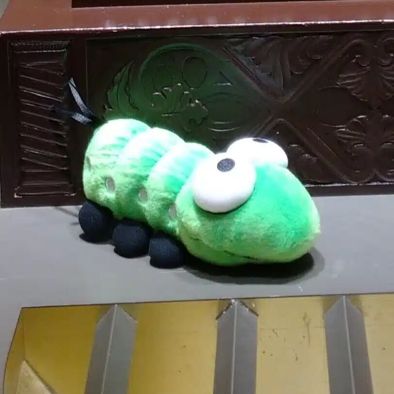 矢尻犬