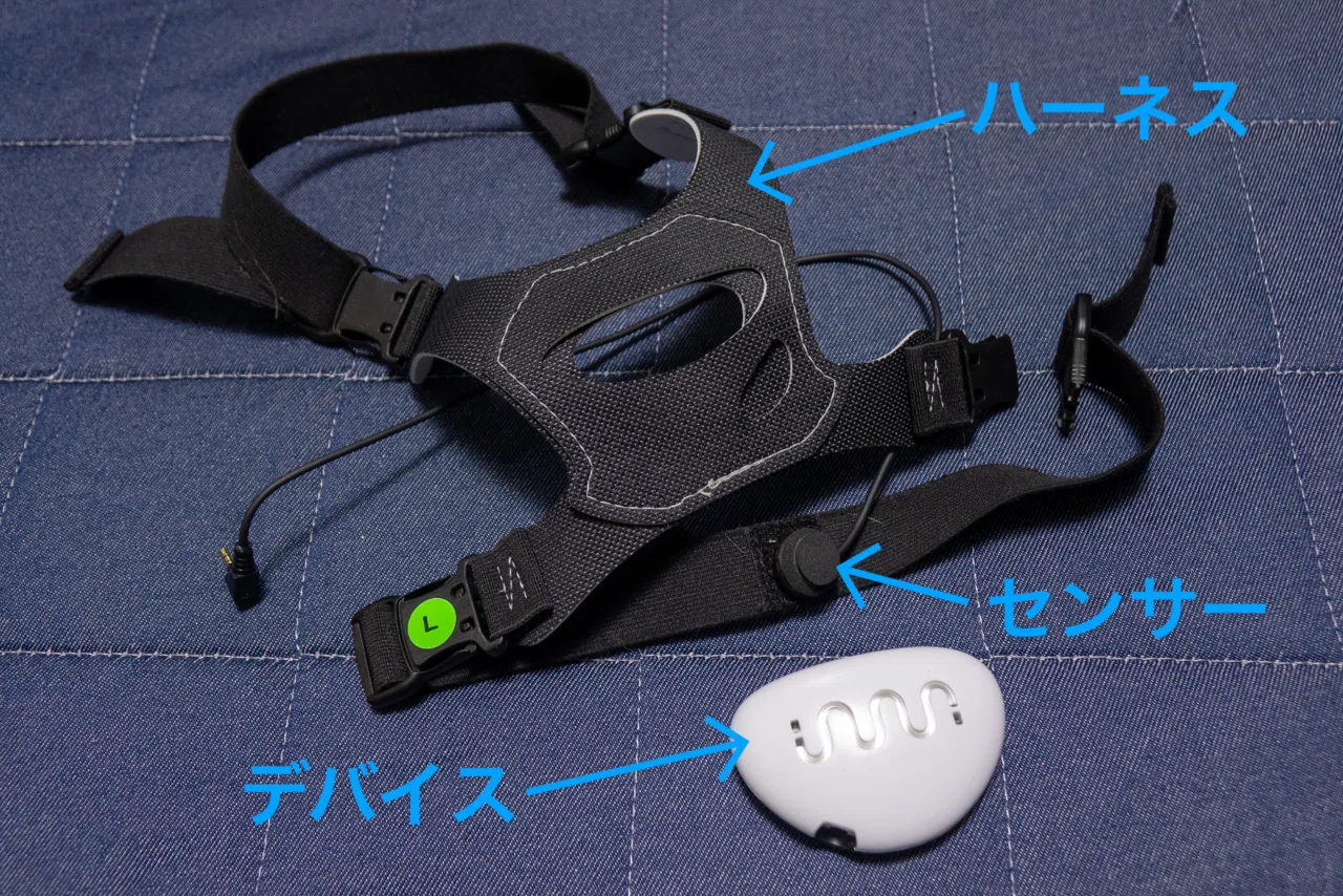 INUPATHY（イヌパシー）お試しレビュー：セットアップ編｜けんじ