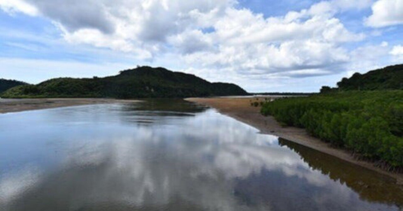 西表島、年間入域観光客数を制限へ 自然遺産保全で観光計画｜Emeru｜note