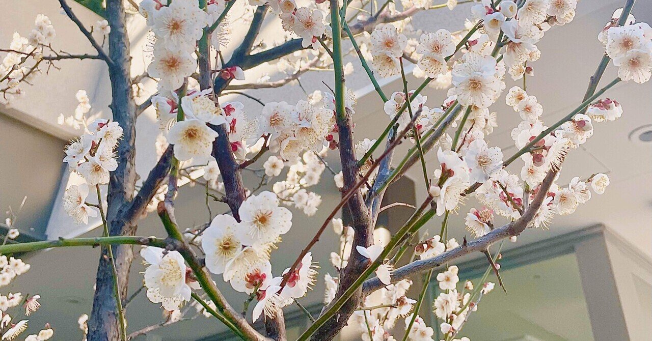 小さな春