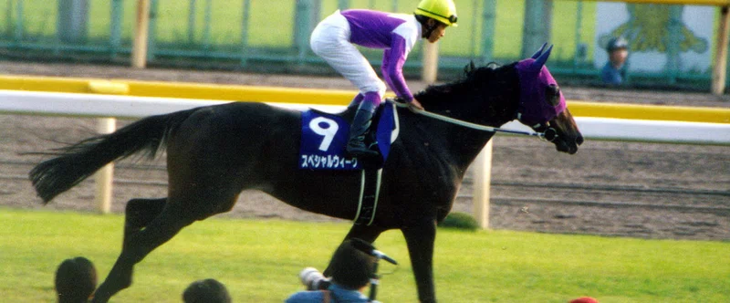 第1回天皇賞 秋 蔵出し写真 1999年 スペシャルウィーク 馬画人 まがじん Note