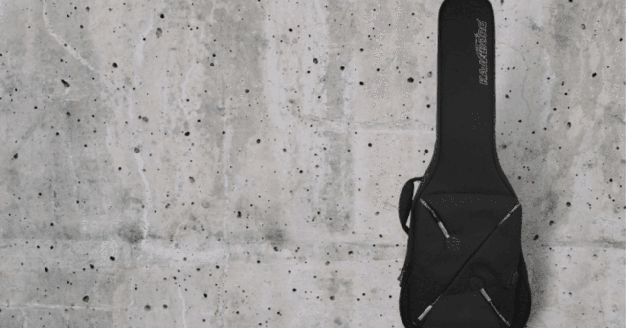 Kavaborg guitar bag store