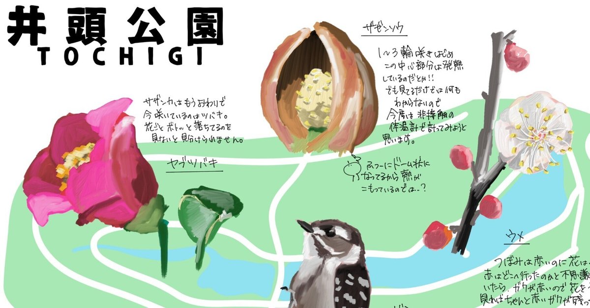 後藤順一、【彩春】、希少な大判額装用画集より、美品、日本人画家、新品額装付 日本画 後藤順一「胡蝶侘助」SM号