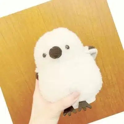 シマまる