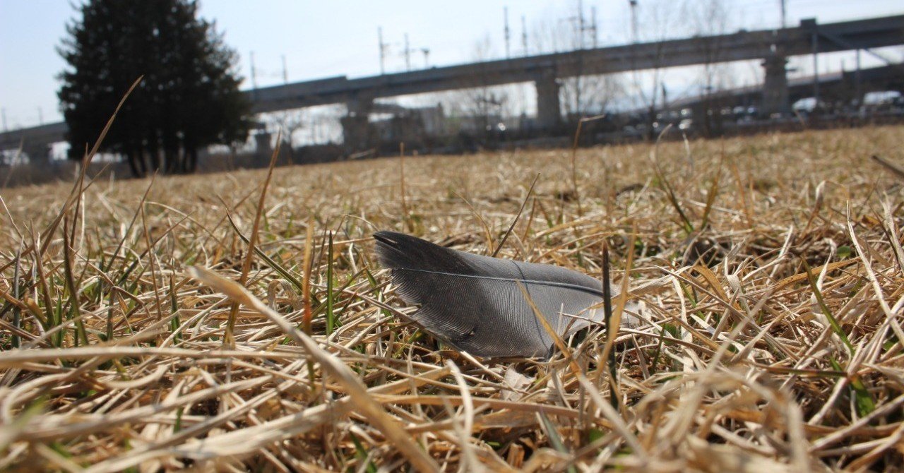 教師は0から1を生み出す仕事｜yukis.7