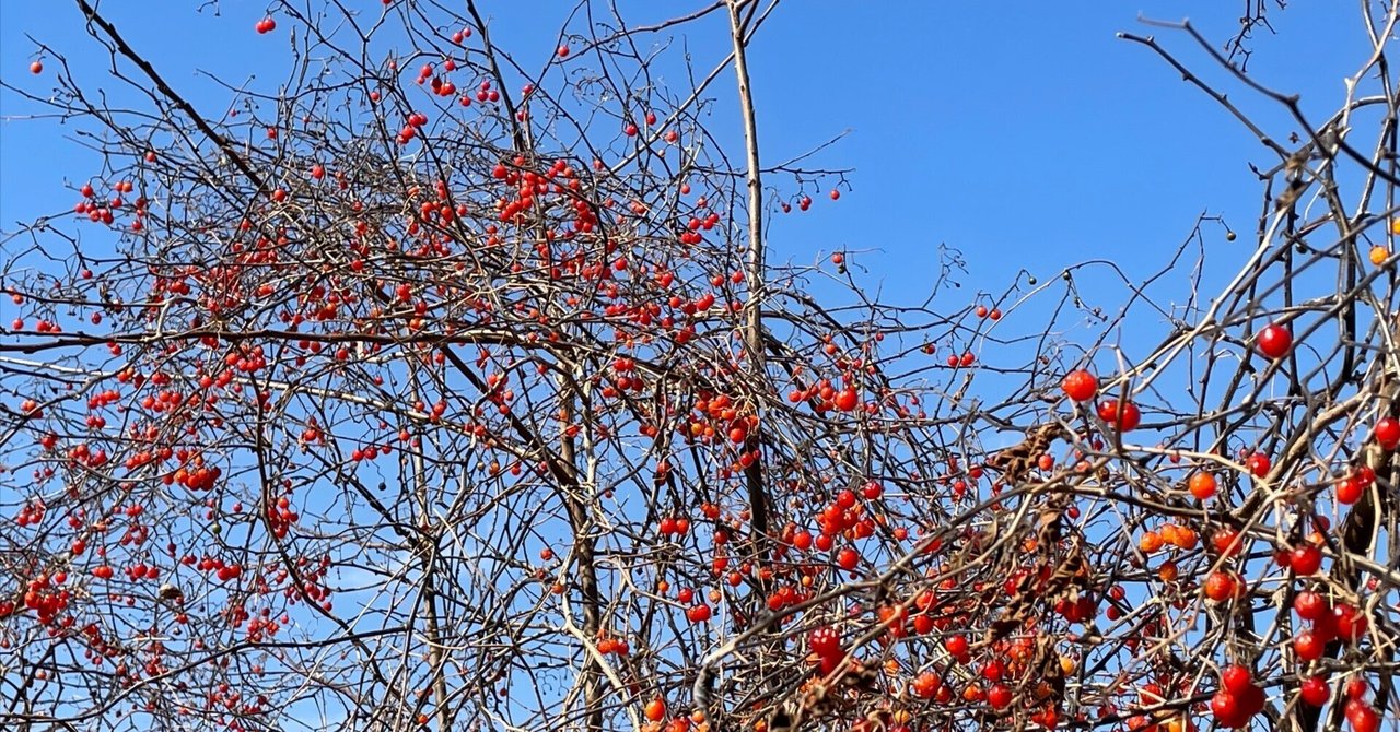 今週もおつかれさまでした｜roco*
