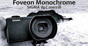 SIGMA DP3 Merrill ジャンク FOVEON シグマ フォビオン - メルカリ