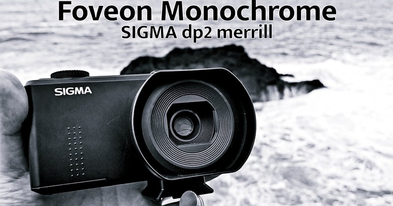 FoveonのモノクロームとSIGMA Photo Pro耽溺