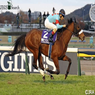 最強牝馬 アーモンドアイ🐴｜アーモンド1864