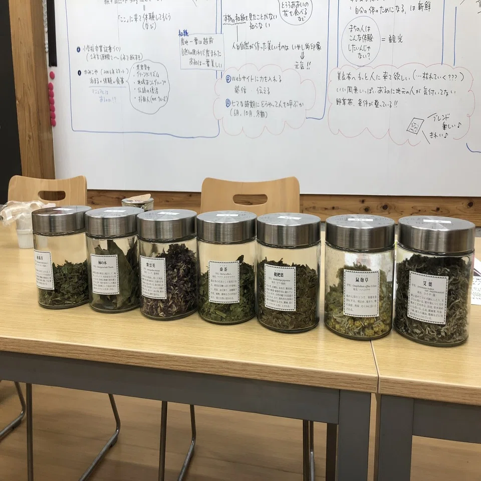 有用植物は「観光」もタネになるのか！？｜KUT 高知工科大学