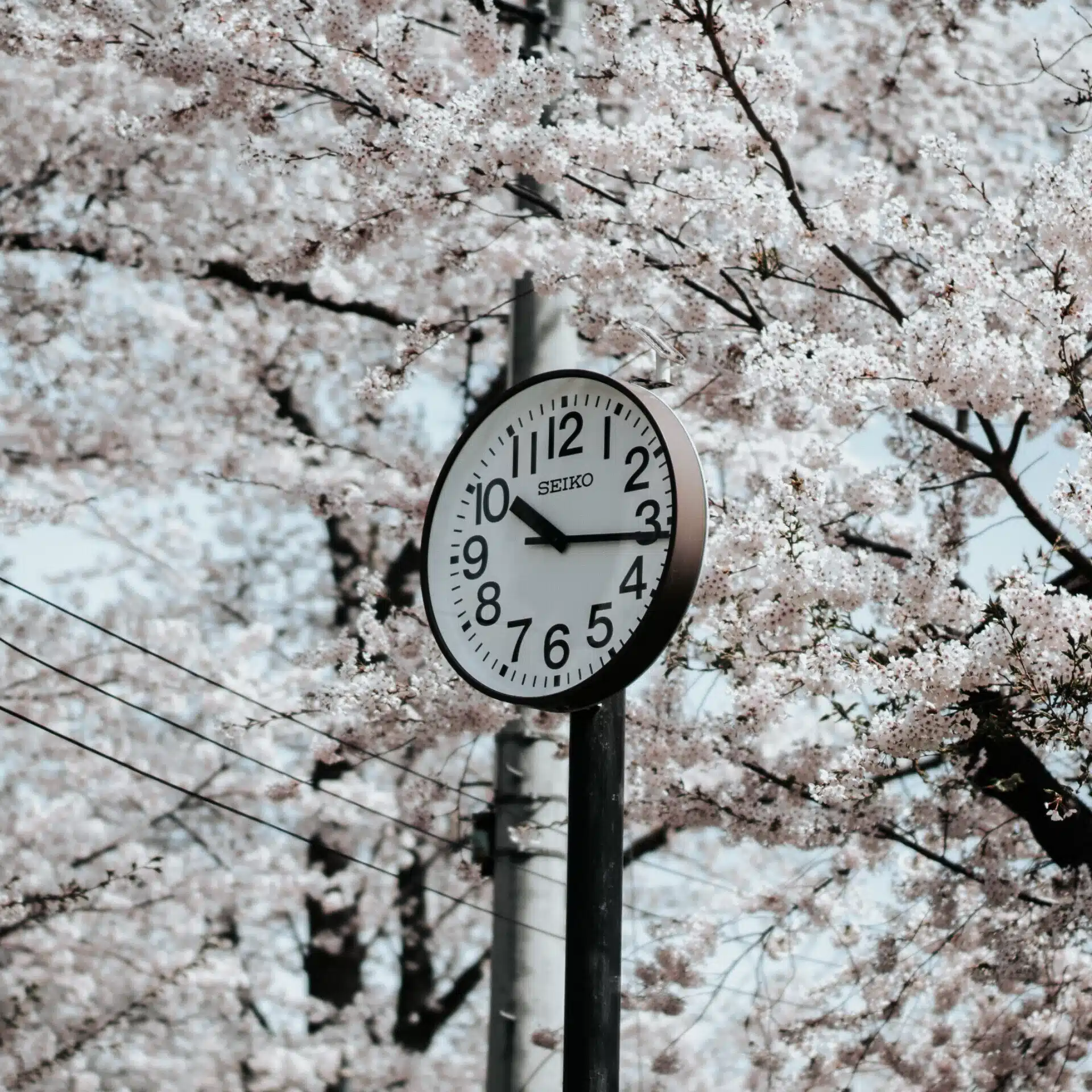 写真工房｜星野リゾート