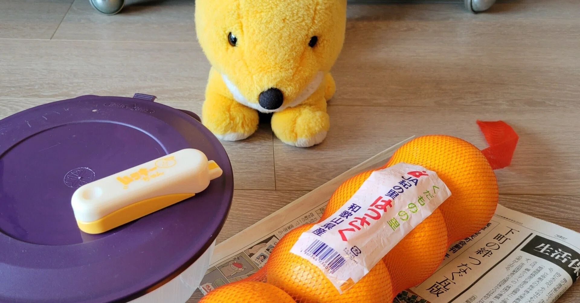 ハッサクのむきプロ日記 2023年2月19日 16玉目🍊✨｜Yukihiro🧸