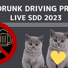 SOPHIA TOUR2025 黒柳能生 Tシャツ Lサイズ SOPHIA TOUR2025 黒柳能生 Tシャツ Lサイズ グッズ通販やるよ