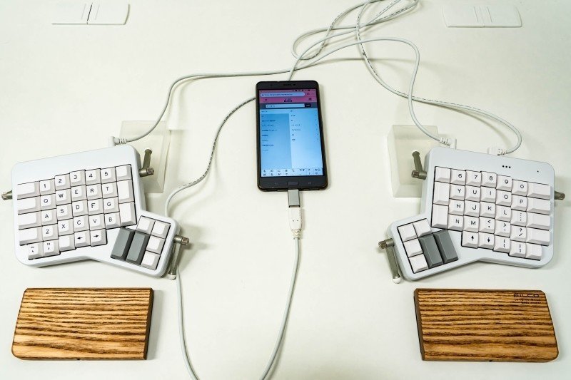 自作キーボードのハードルが高そうなので「ErgoDox EZ」を買って