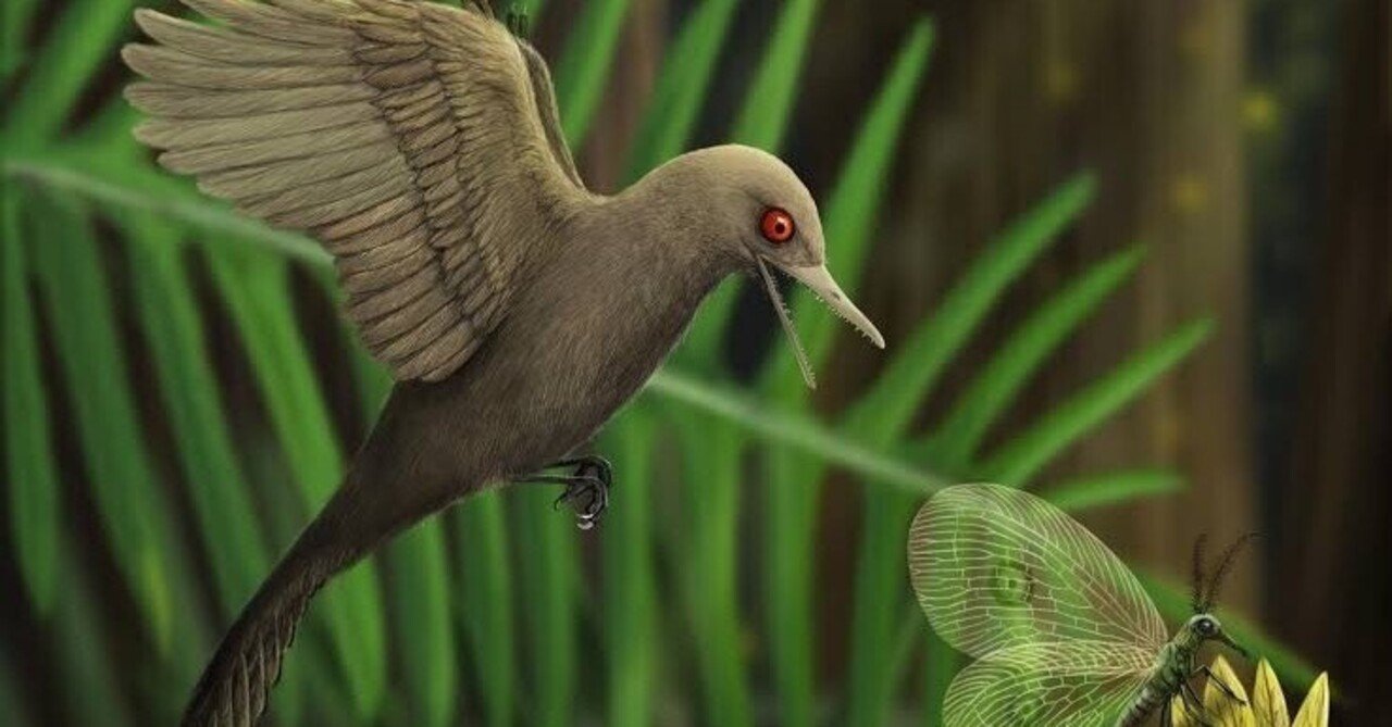 漆黒の鳥 鴉@ZX-25R on X: 