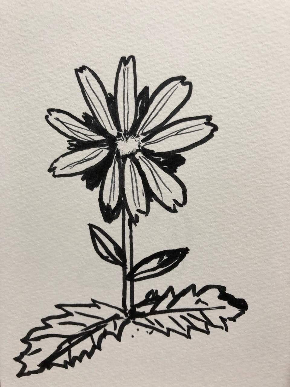筆ペン絵 あみけろっくす Note 筆ペン絵 あみけろっくす Note