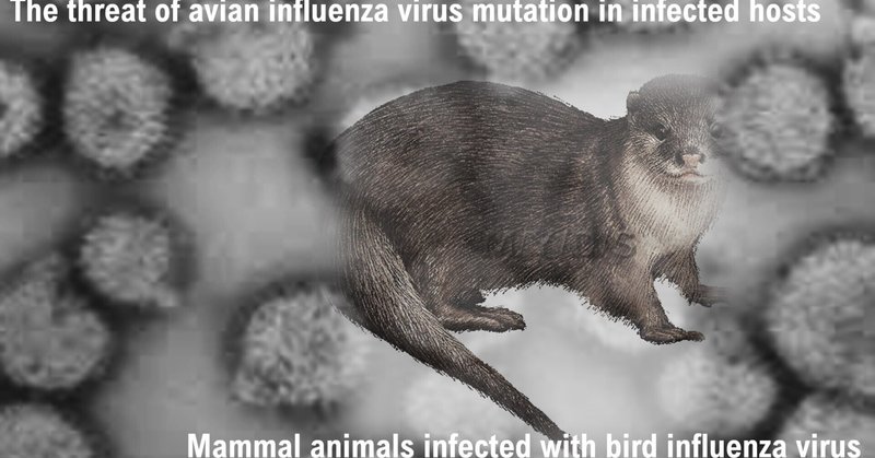 感染宿主の生体内での鳥インフルエンザウイルスの変異への脅威に対する対応の重要性