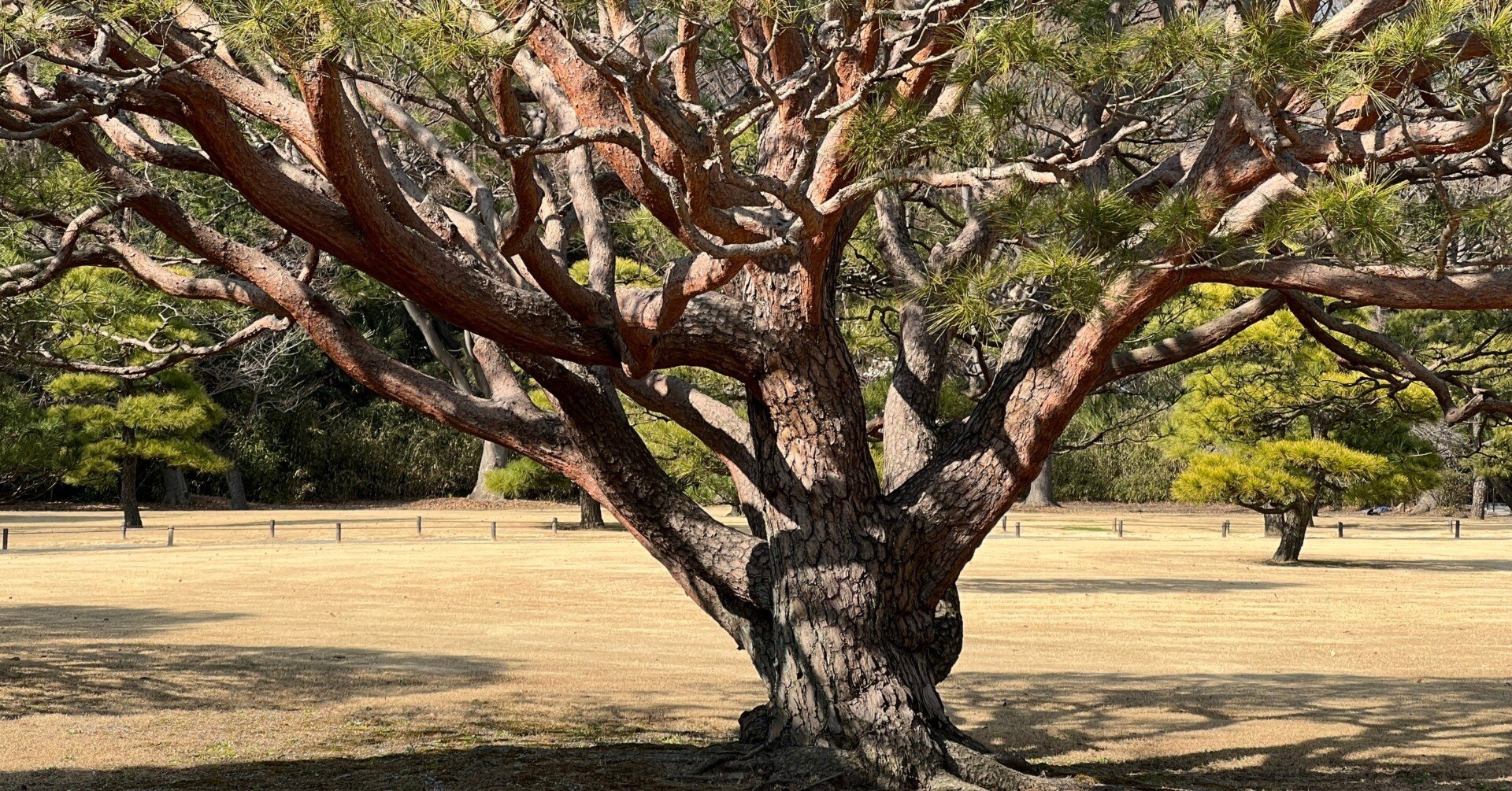 a904494376ba118994e74779fea354