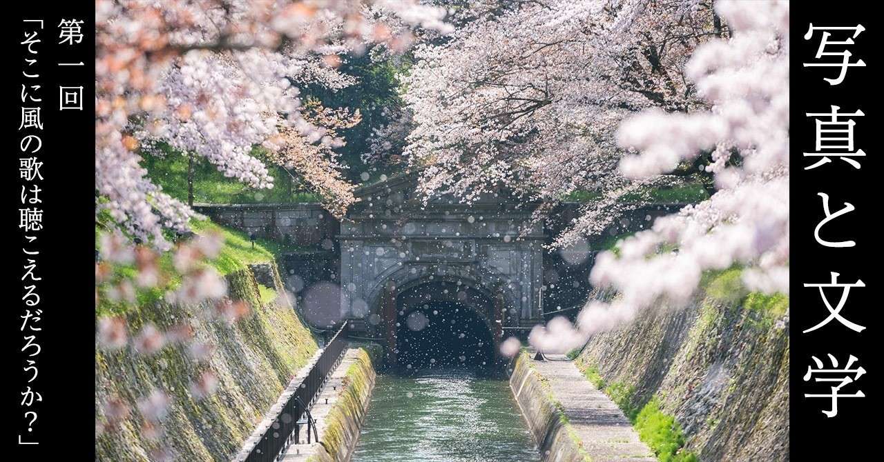 写真と文学のバナー