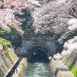 われ 山にむかいて 目を挙ぐ ちくわ会長 Note