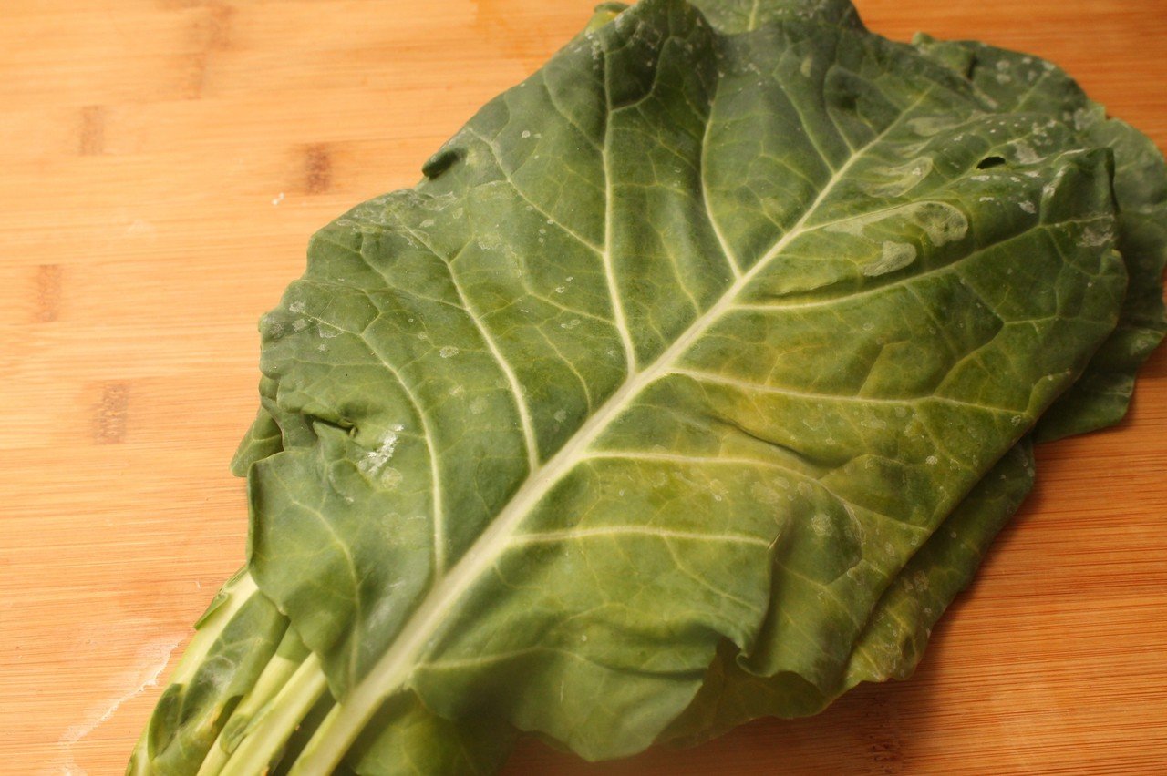 ケールのサラダ 樋口直哉 Travelingfoodlab Note ケールのサラダ 樋口直哉 Travelingfoodlab Note