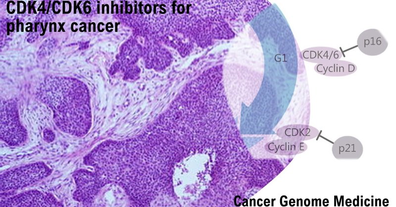 Current status of therapy with CDK4/6 inhibitors for advanced cancer in ...