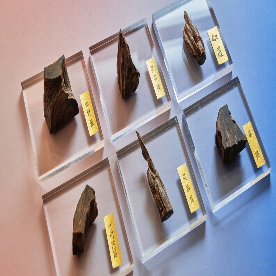 【激レア】200万円 白檀原木 激レア】200万円 白檀原木 - メルカリ