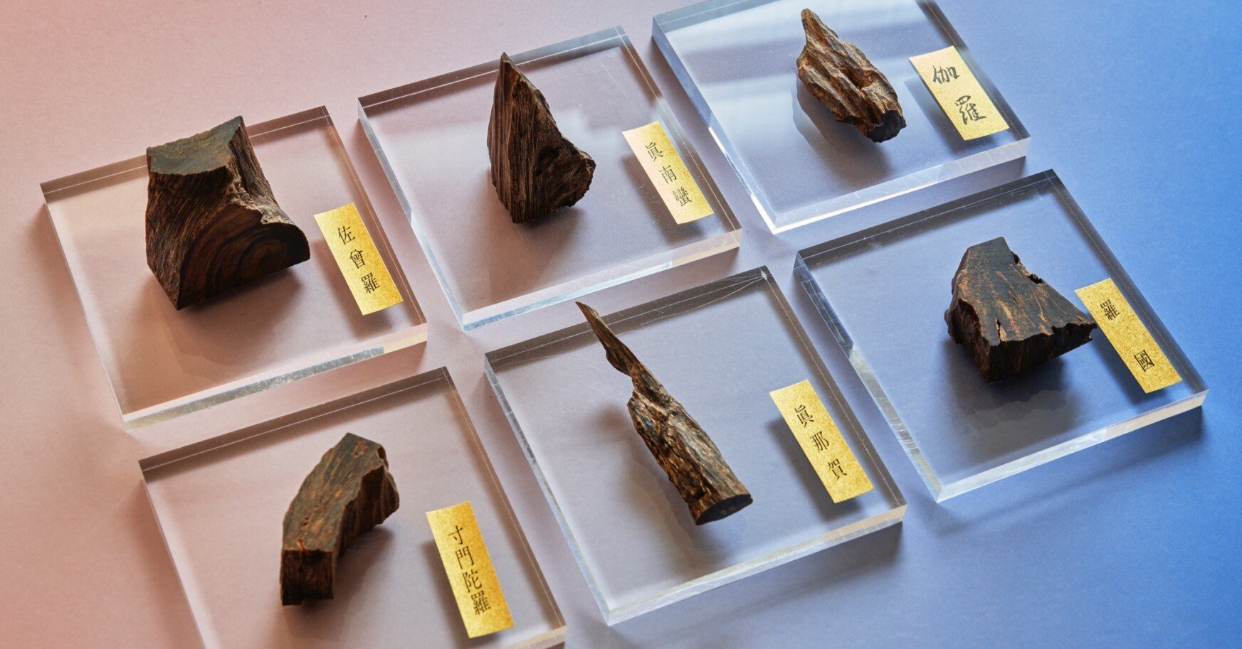 聞香会のアーカイブ】2023年1月25日・特別会・古木｜麻布 香雅堂