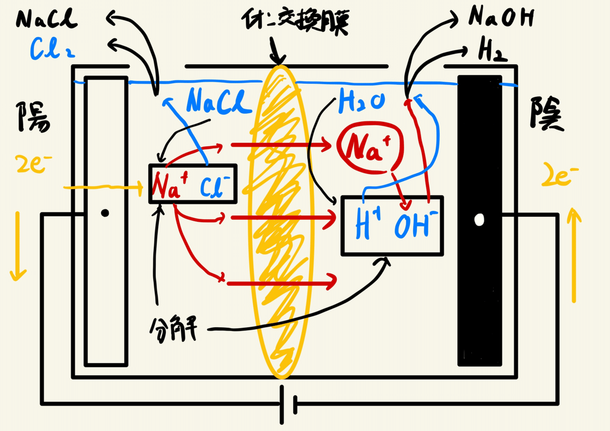日能研＊６年＊マスター日特・理科＊全８回／力学、生物、天体、気象、化学反応、電流 日能研＊6年＊マスター日特・理科＊全8回／力学、生物、天体