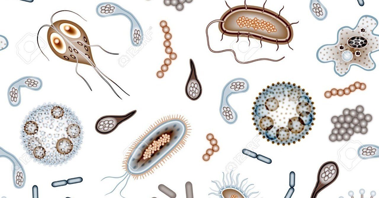 土壌微生物の概要と種類 古賀農園 福岡県古賀市 Note 土壌微生物の概要と種類 古賀農園 福岡県古賀市 Note
