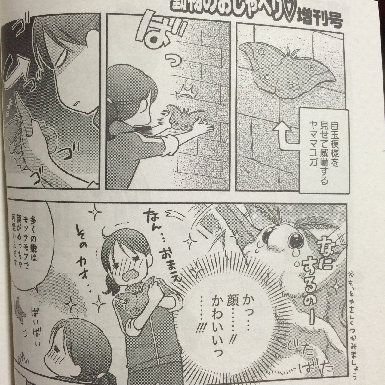 こうやって掴んではいけない 氷堂リョージ Note こうやって掴んではいけない 氷堂リョージ Note