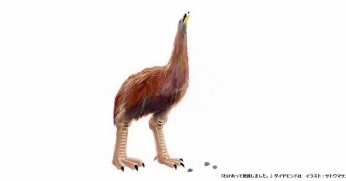 Avian エイビアン メディスン 鳥類臨床のすべて お気にいる】 エイビアン.メディスン 鳥類臨床のすべて 健康