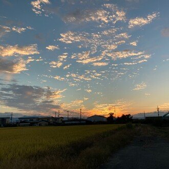 トップに移動