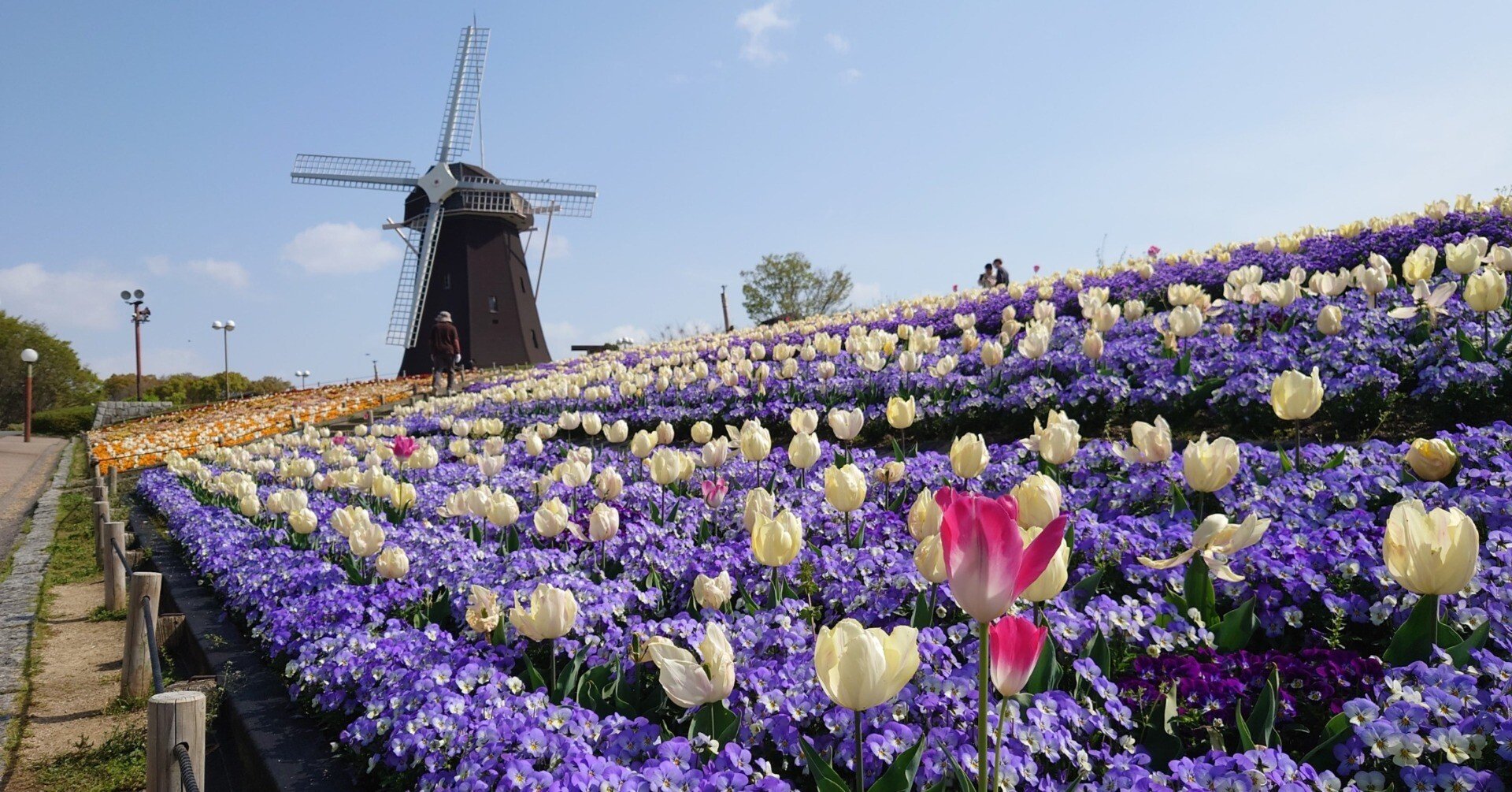 花博記念公園鶴見緑地2021年4月2日【桜,チューリップ】｜レタス