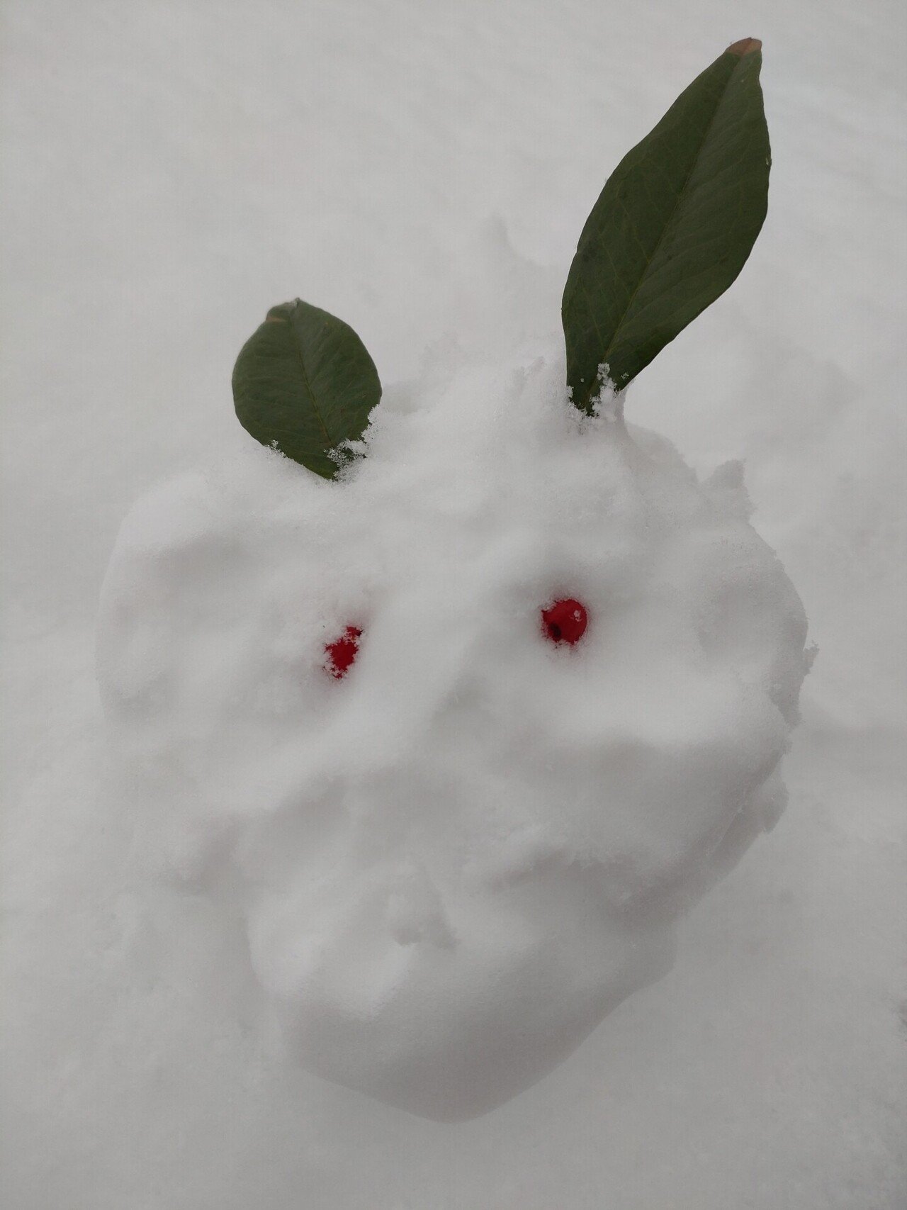 雪うさぎ｜つちやいっぺい