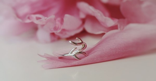 ドウセイカレシシリーズ 感想｜あこ｜note