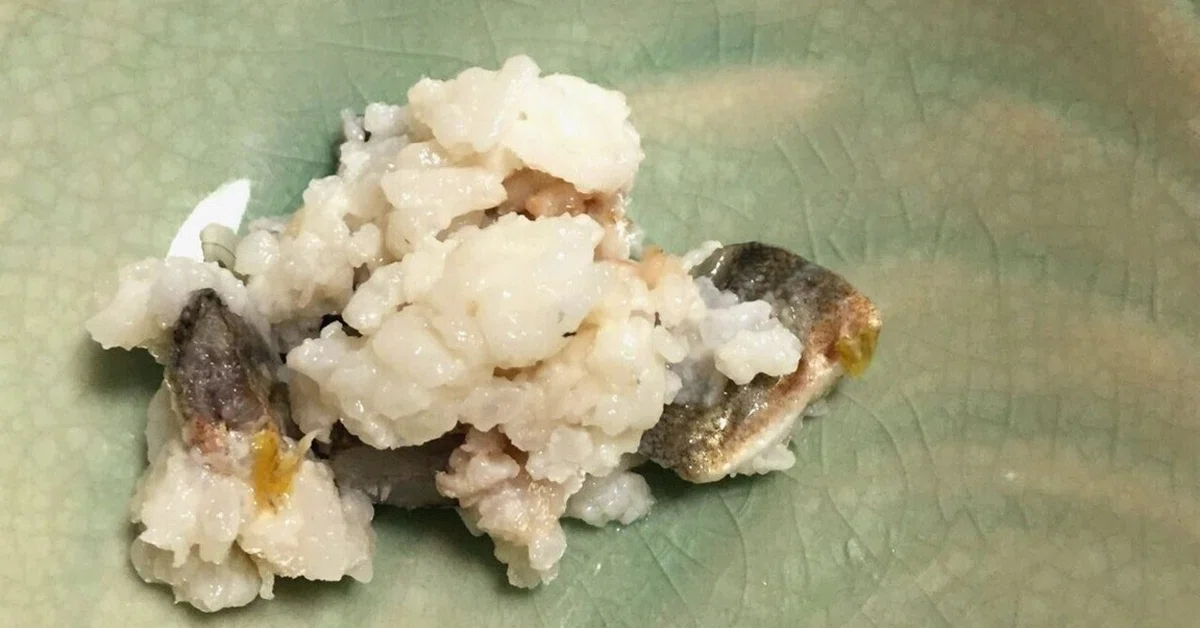 長良川の幻の発酵食「鮎の熟れ鮨 (なれずし)」を作ってみる-後編|川のテロワール
