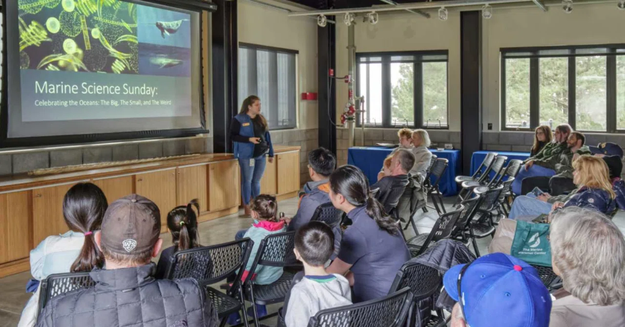 Marine Science Sunday Interactive Programs｜【上級英語塾GK】日本から米国私立一貫校の教育を受ける｜note