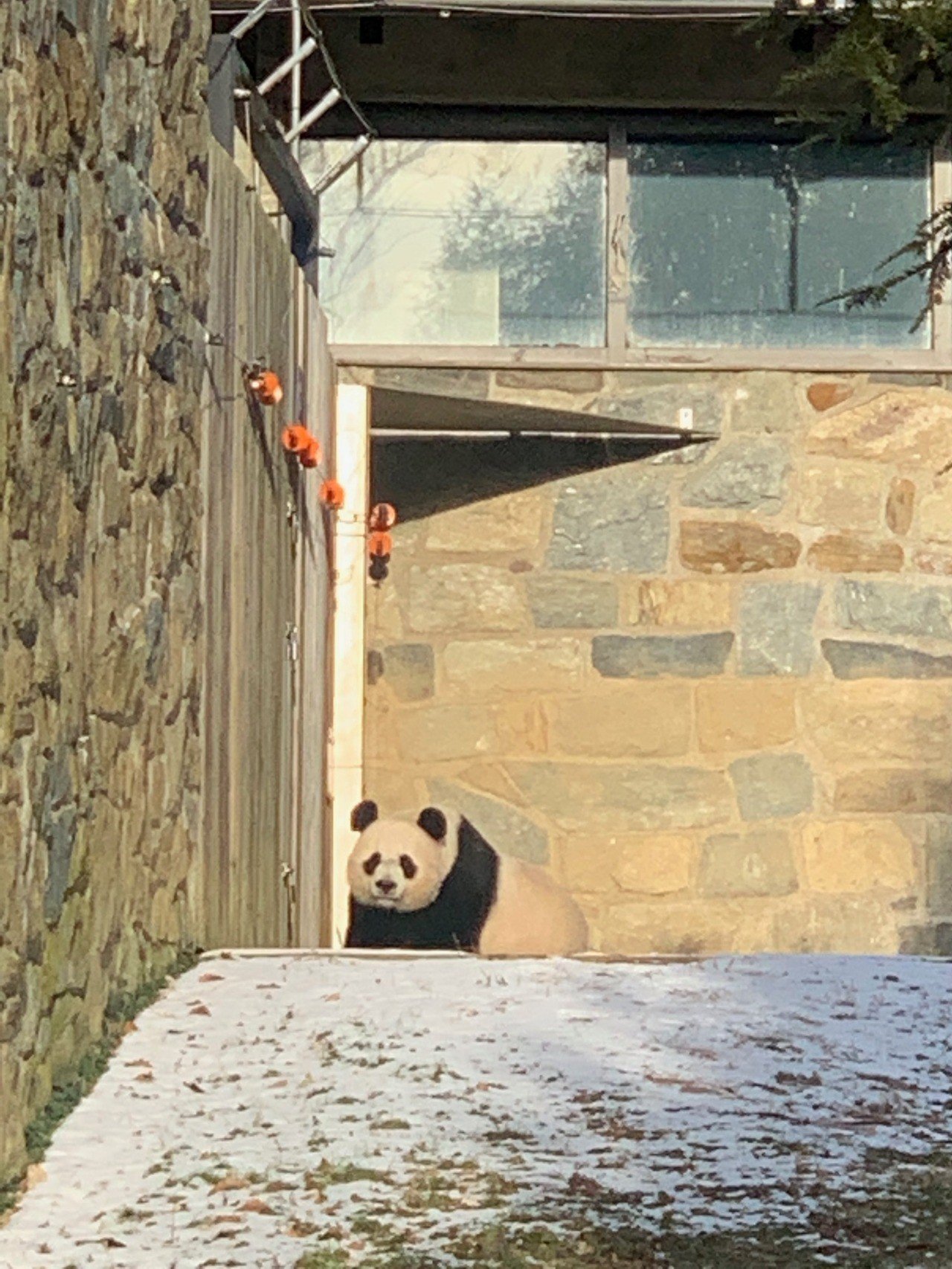 笹食ってる場合じゃねぇ T Note 笹食ってる場合じゃねぇ T Note