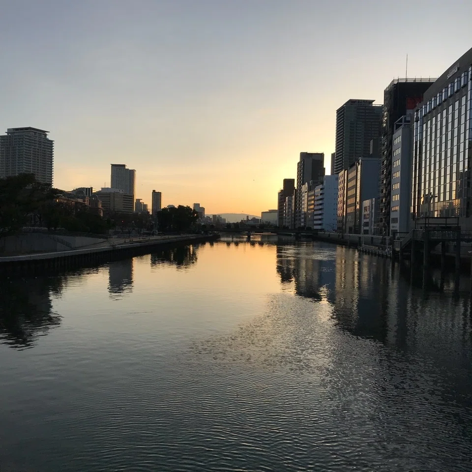 美しい朝の大阪中之島 マンボウ Note