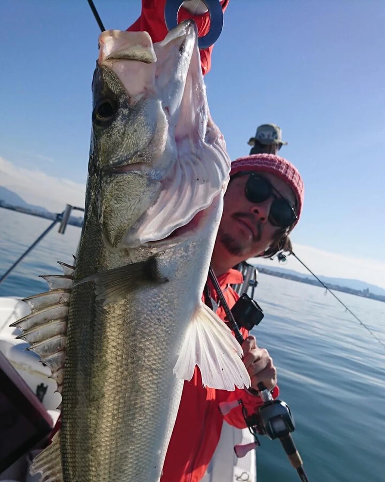 晩秋、初冬の博多湾ボートシーバス備忘録🐟 ビッグベイトベイト乱舞