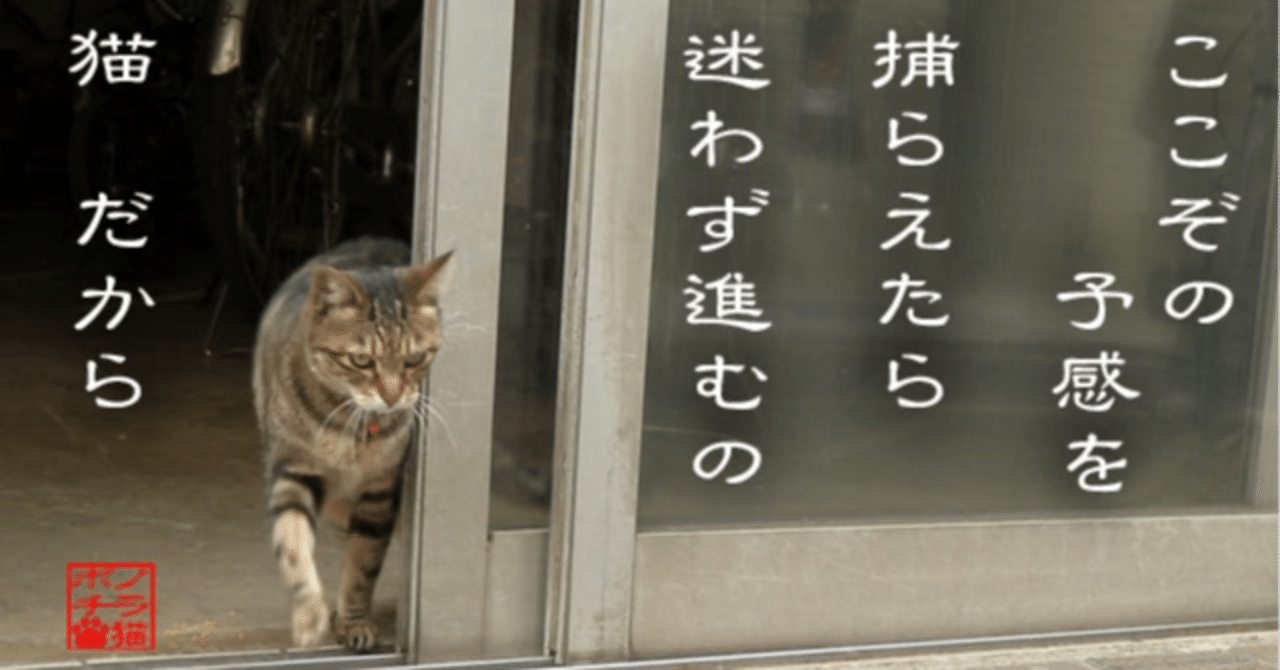 有言不実行と無言実行は、どっちがいい？｜まこさん
