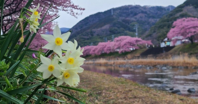 あなたのように