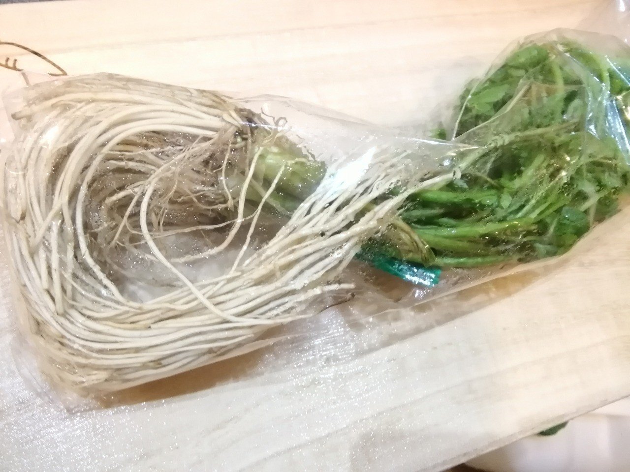 根っこが 美味しいの セリ パクチー ハチ Note 根っこが 美味しいの セリ パクチー ハチ Note