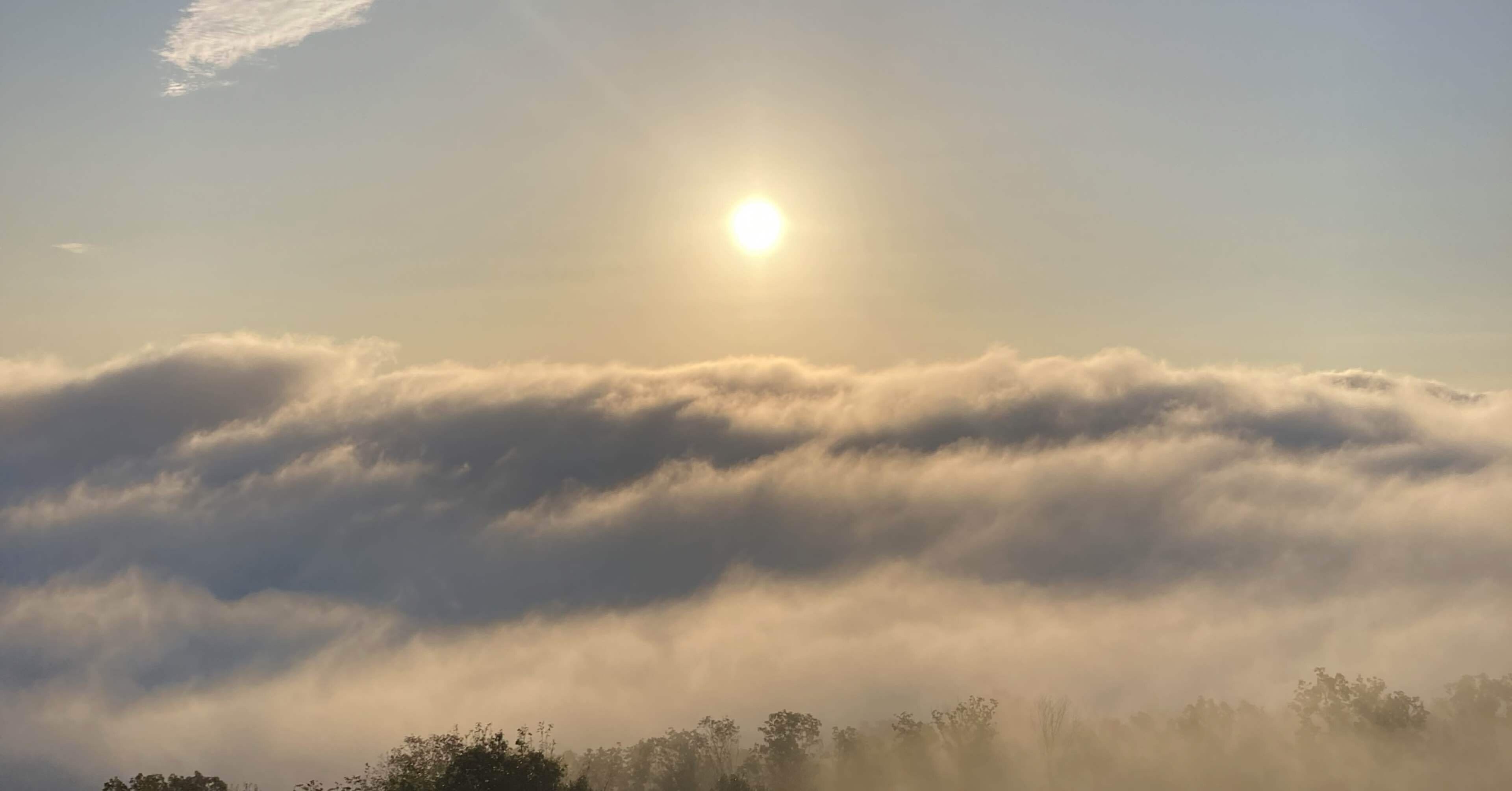 Zahnrad SCOTCH 個人的レビュー｜kei_kato