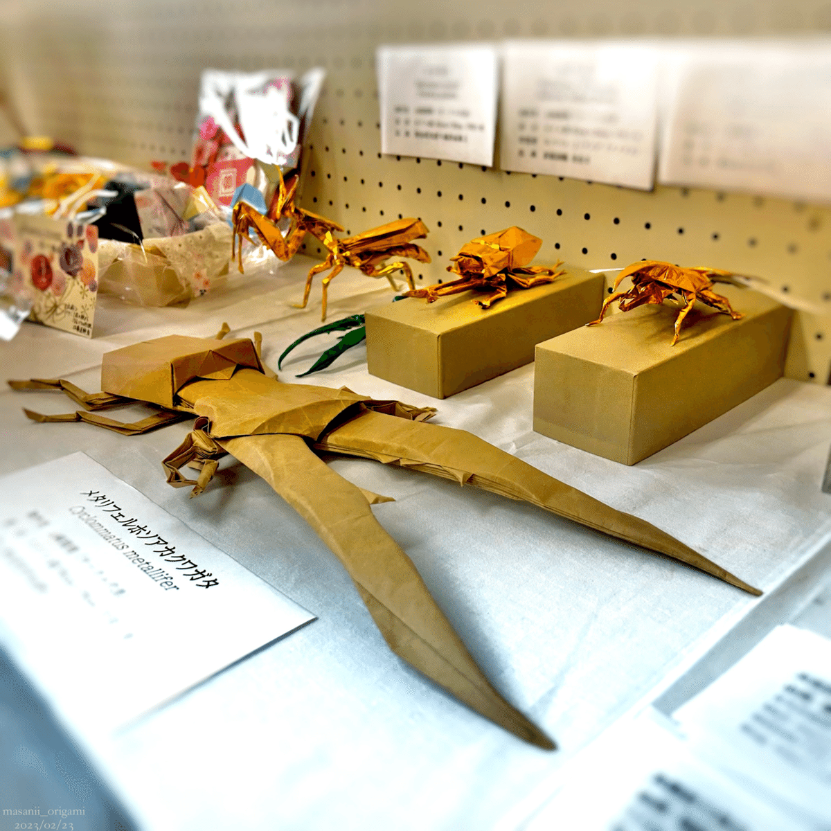 折り紙展示レポ】力作ぞろいの公民館まつり！／Origami