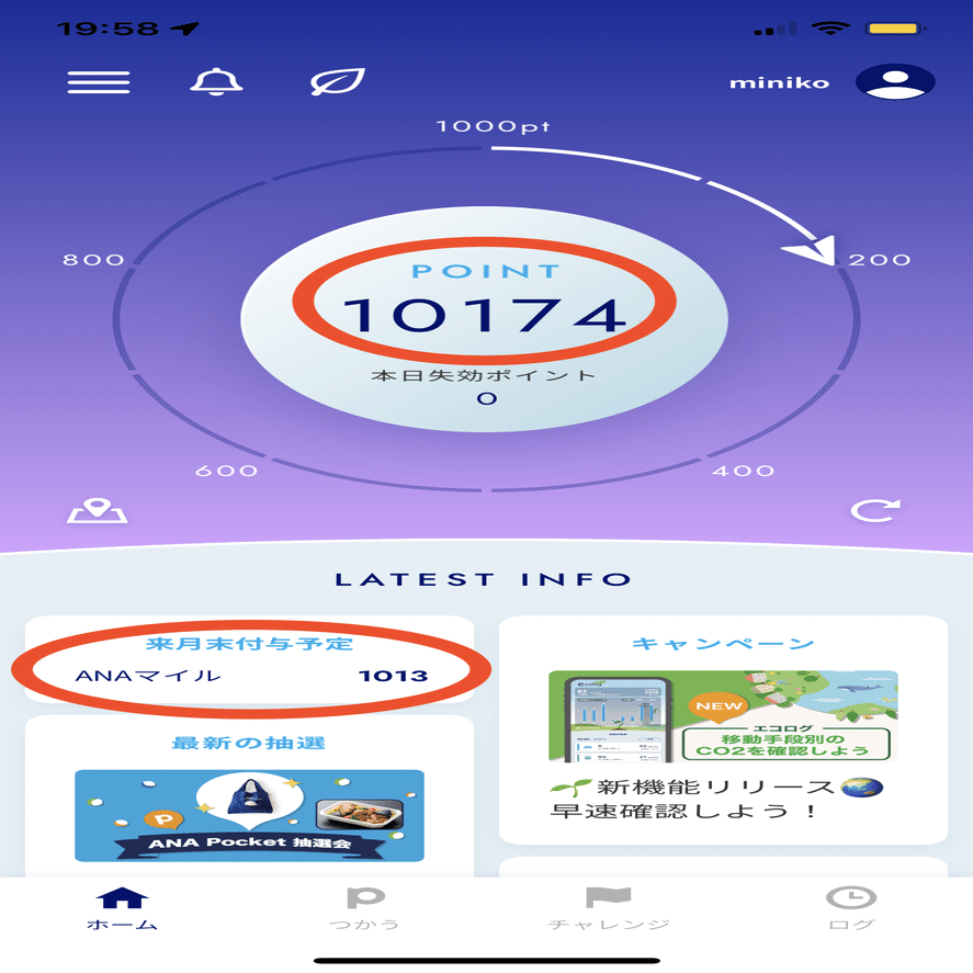 紹介コードあり】ANA Pocketでポイントとマイルを効率的に貯める方法 ｜豊かな生活の探求